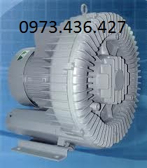 Quạt thổi khí dạng con sò Dargang DG-100-11
